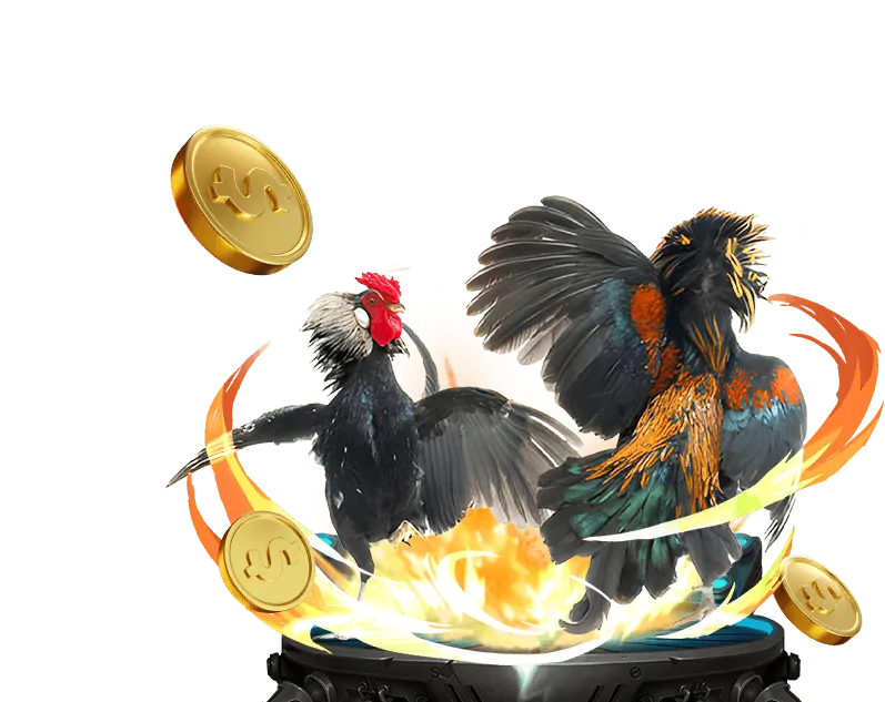 Giao diện cá cược đá gà Ku Bet